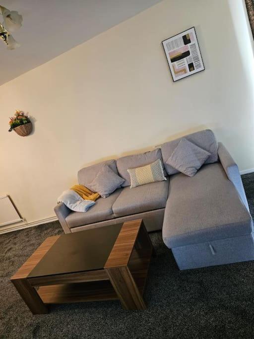 Warm Contractor-friendly Apartment *